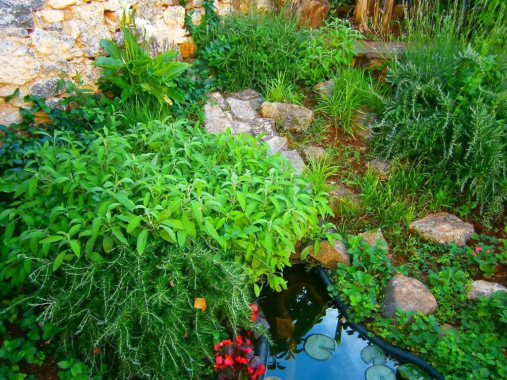 Villa Casa Menta Croatia